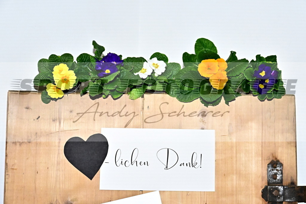 DSC_9733 | Kaufen Sie Sportbilder im Onlineshop von Andy Scherrer Sportfotografie. Faszinierende Bilder von Sportevents aus der ganzen Schweiz. Fussball, Frauenfussball, Unihockey, Handball, Schwingen und weiteren Sportarten. - Realisiert mit Pictrs.com