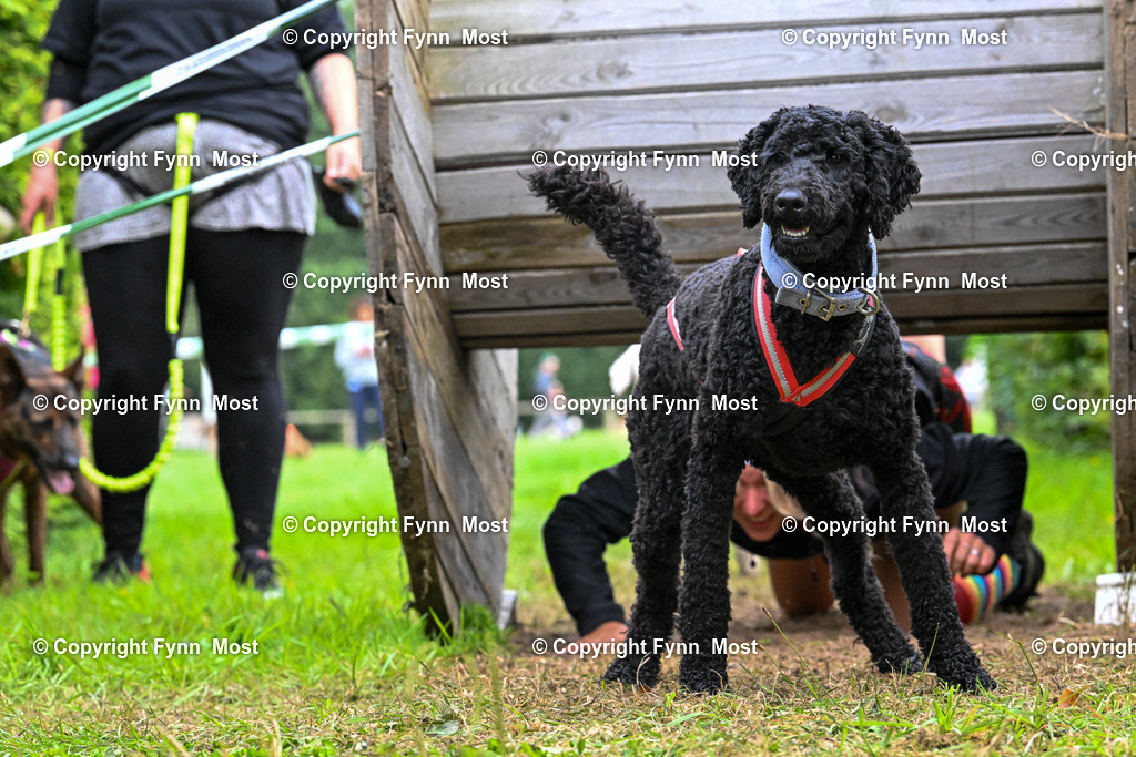 DSC_9307 | Hallo und herzlich Willkommen auf meiner Shop-Seite Fynn Most.

Ich wünsche Dir viel Spaß beim stöbern durch die Bilder, wenn Du Fragen hast oder Bilder vermisst, kannst du mir gerne eine Nachricht schreiben. - Realisiert mit Pictrs.com
