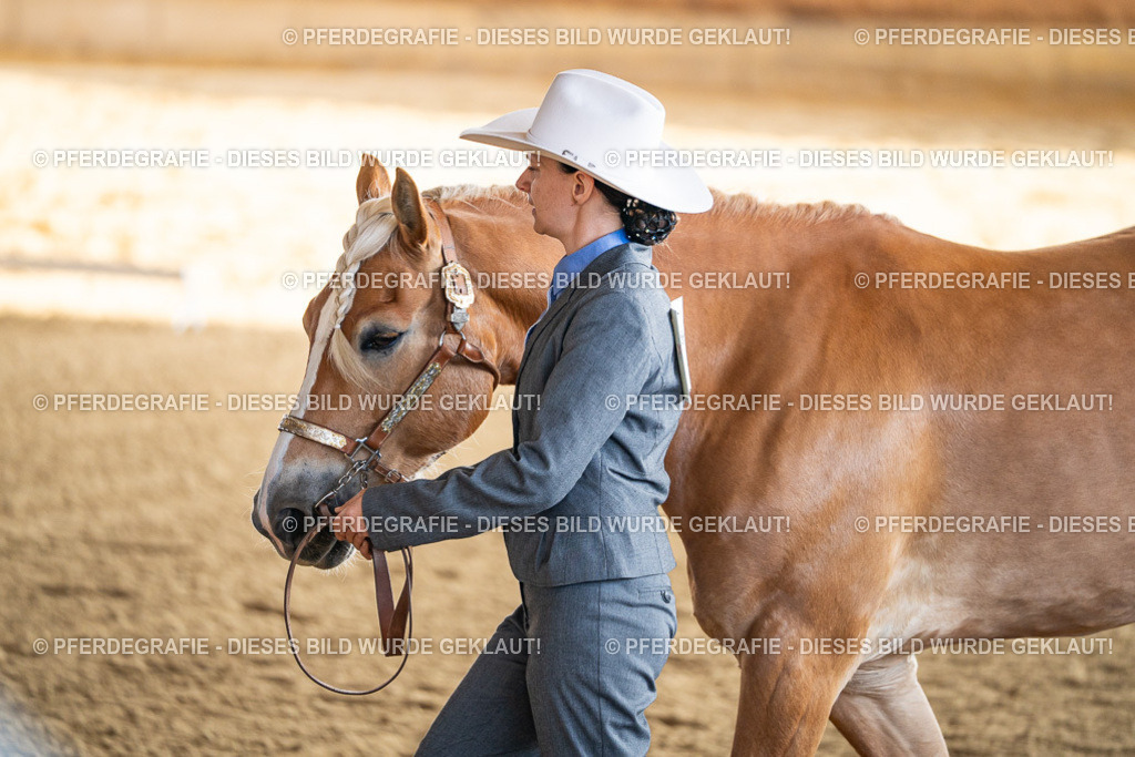 DSC07554 | Pferdegrafie