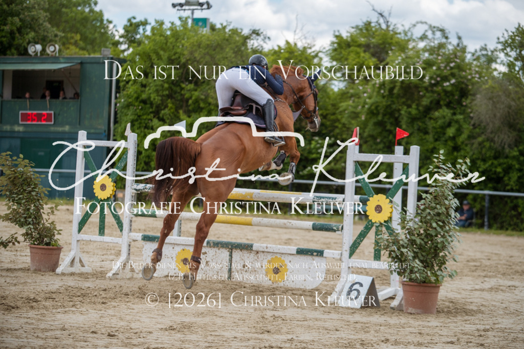 DSC_6378 | Christina-Kleuver