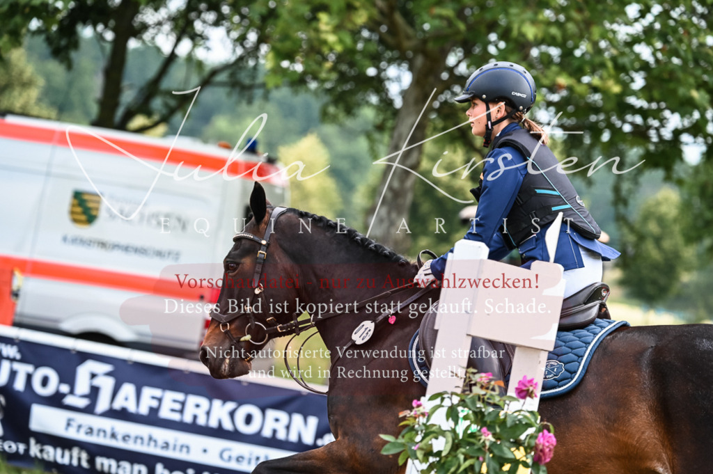 DSC_8231 | Pferde- und Turnierfotografie in Westsachsen. Pferdeportraits, Auftragszeichnungen und intuitive Kunst.