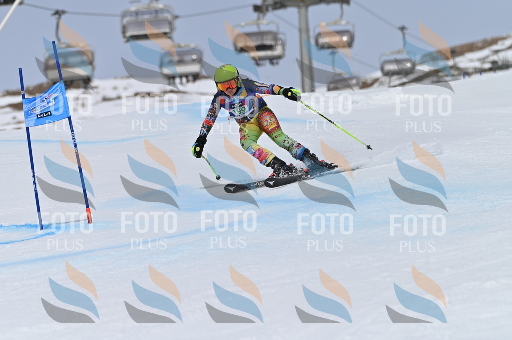 BGV_3833 | holidayphoto