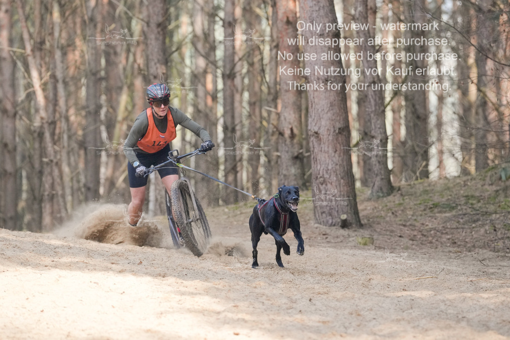 Scooter2-9 | stephaniefillaphotographie - Realisiert mit Pictrs.com