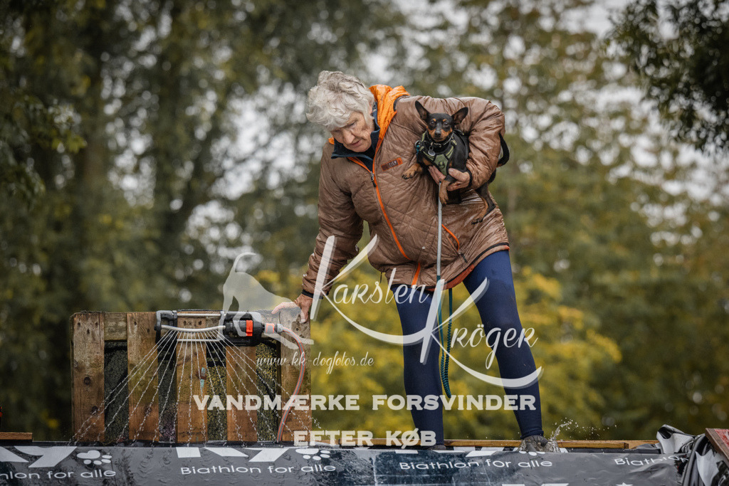 1111_ZZ91943 | kk-dogfotos