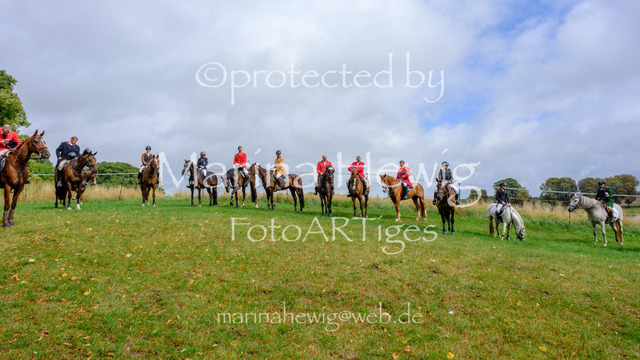 Jagd Kletkamp 26-9606_MarinaHewig | Fotografie, FotoArt, PferdesportArt, Pferdesportfotografie, Landschaftsfotografie, Reisefotografie, Reise, Pferde - Realisiert mit Pictrs.com