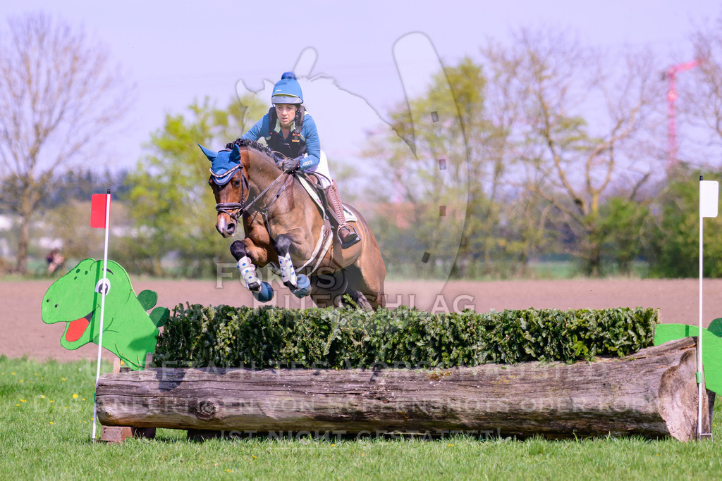 18042026-Gernlinden-01-2-0281 | Fokus Hufschlag Fotografie - Realisiert mit Pictrs.com