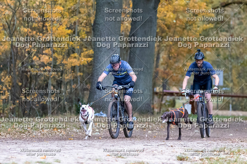 Dog Paparazzi - SD CaniX Championship 2025-66 | Dog Paparazzi Jeanette Grottendiek Fotografie & Videografie - Realisiert mit Pictrs.com