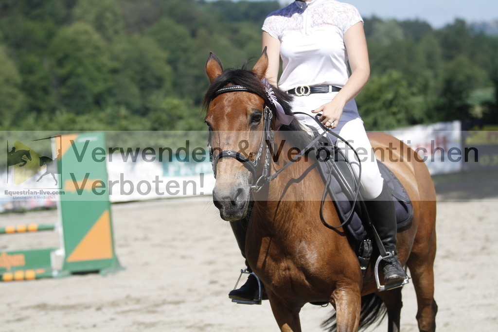 _MG_2664 | equestrian-live-com