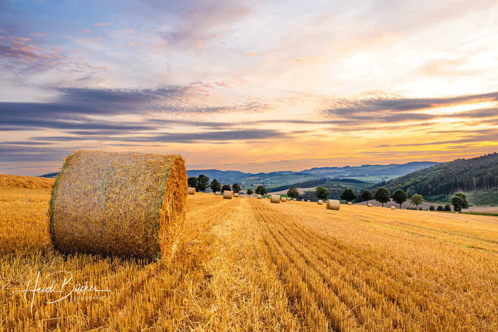 August | Bilder und Impressionen zu jeder Jahreszeit aus dem Sauerland im Naturpark Sauerland-Rothaargebirge - Realisiert mit Pictrs.com
