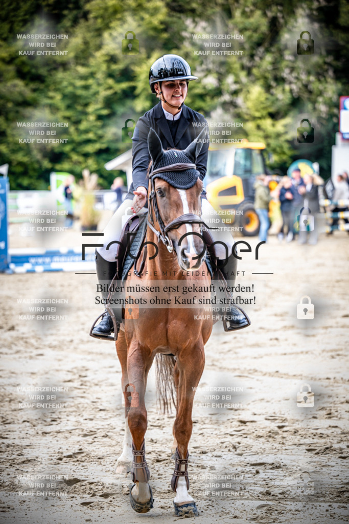 2026-09---Waldhof-11-0008 | Entdecke hochwertige Reitturnierfotos von Foto Oger. Professionell, emotional und authentisch – jetzt Lieblingsmomente im Shop bestellen.Deutschlandweite Turnierfotografie. - Realisiert mit Pictrs.com