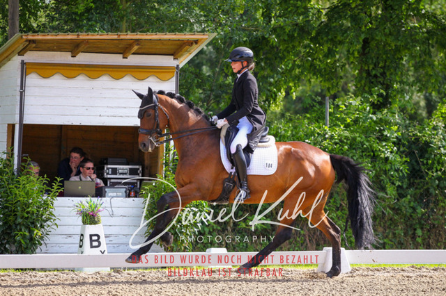 DKP41408 | Turnierfotos kaufen im Webshop von Daniel Kuhl Photography – entdecke professionelle Reitsportfotos aus Turnieren & Events. Hochwertige Turnierbilder online bestellen & sichern. Jetzt Fotos von Reitsportturnieren kaufen!