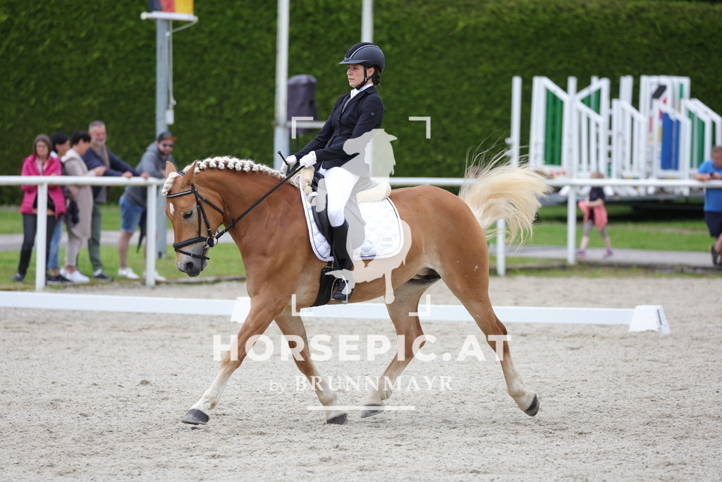 0P6A5233 | Willkommen bei Brunnmayr - Design & Fotografie – Ihrem Spezialisten für Reitturniere und Pferdeveranstaltungen in Oberösterreich, Salzburg und Bayern! Seit über 17 Jahren sind wir leidenschaftlich dabei.