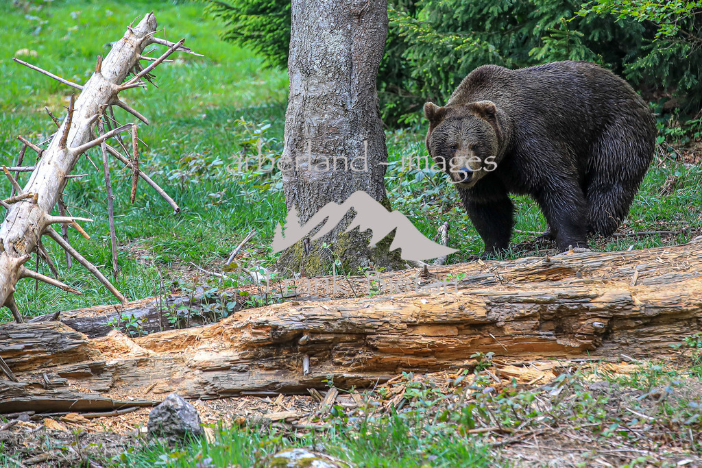 OE7A5580 | Medien- Sport- Entertainmentfotos