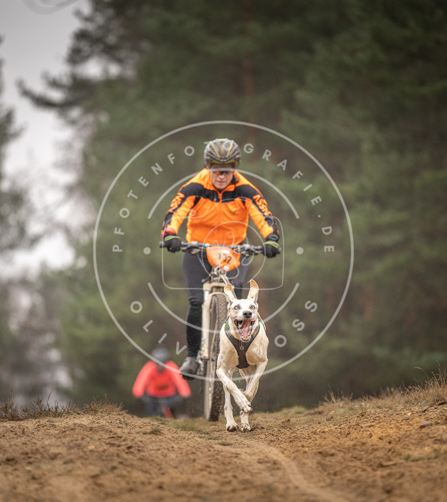 Pfotenfotografie_DV3A3661 | Hundefotografie, Tierfotograf, Pfotenfotografie, Fotoshooting Hund, Hunde Portrait, Hundesport, Hundeportraits, Heideshooting, Hunde, Sportfotograf, Hundefotograf, Turnierhundsport, THS,  - Realisiert mit Pictrs.com