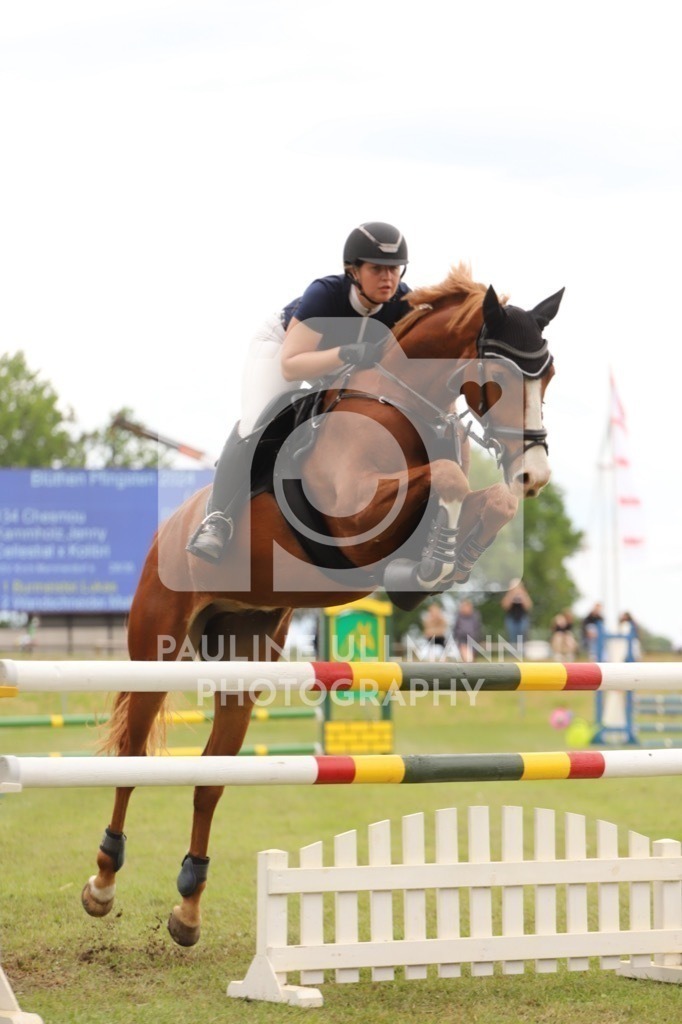 IMG_7912 | Pauline Ullmann Photography - Realisiert mit Pictrs.com