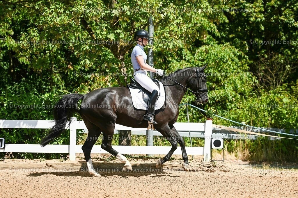 20230715_02_Dressurreiterprüfung Kl.L_0031 | equistock
