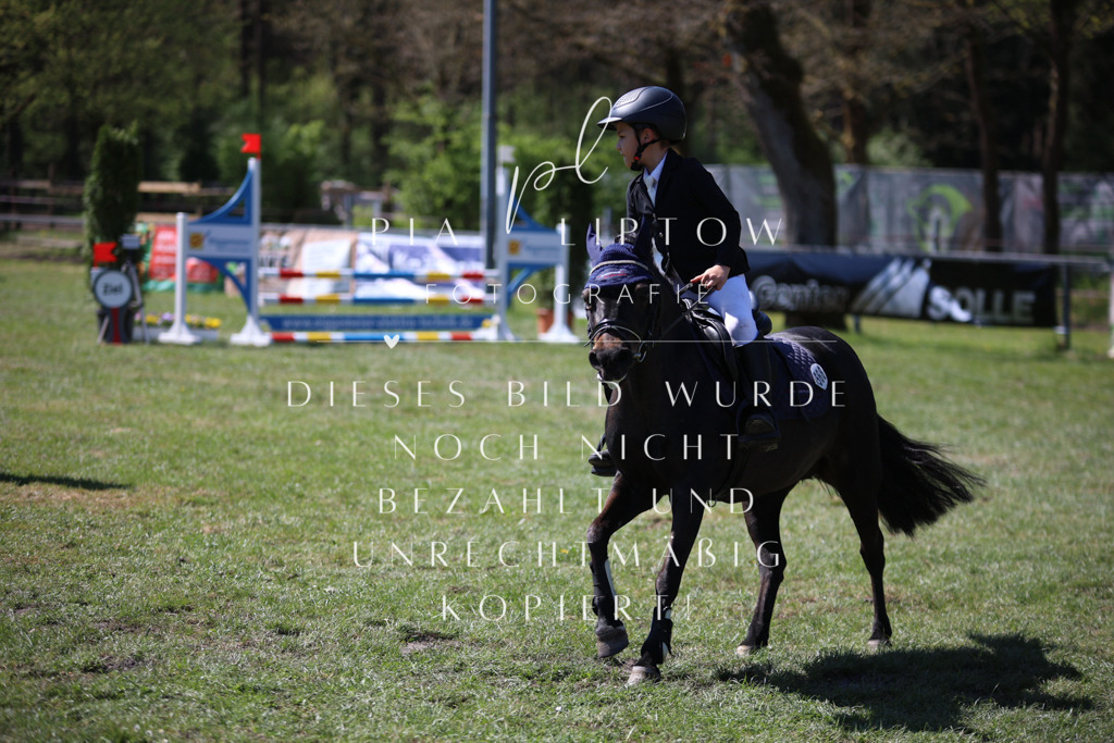 IMGT8205 | pl-fotografie