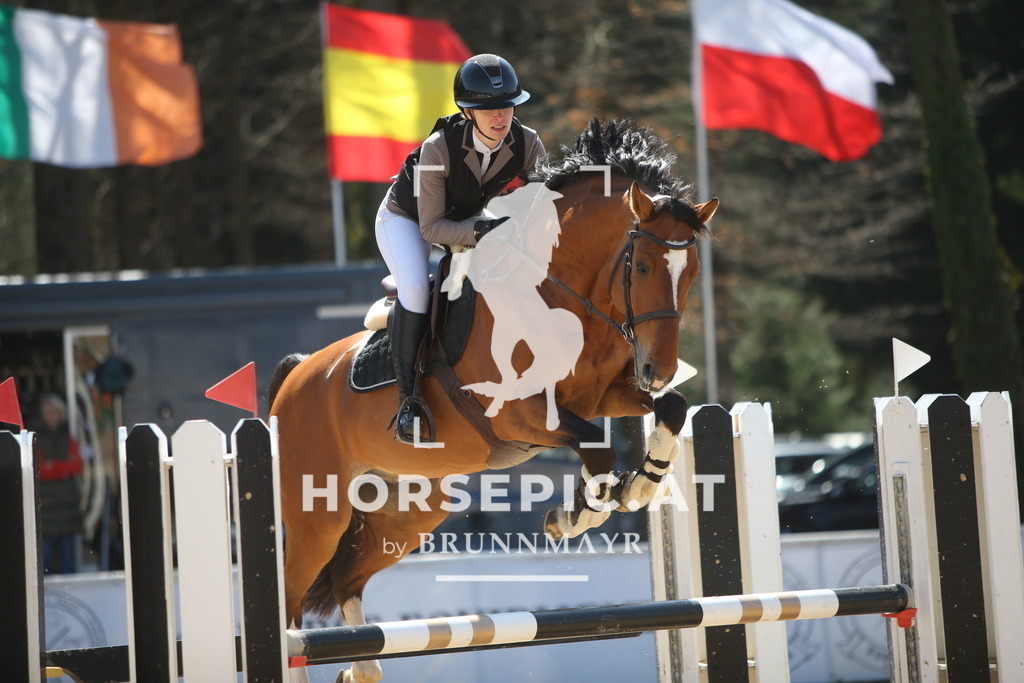 PP014811 | Willkommen bei Brunnmayr - Design & Fotografie – Ihrem Spezialisten für Reitturniere und Pferdeveranstaltungen in Oberösterreich, Salzburg und Bayern! Seit über 17 Jahren sind wir leidenschaftlich dabei.