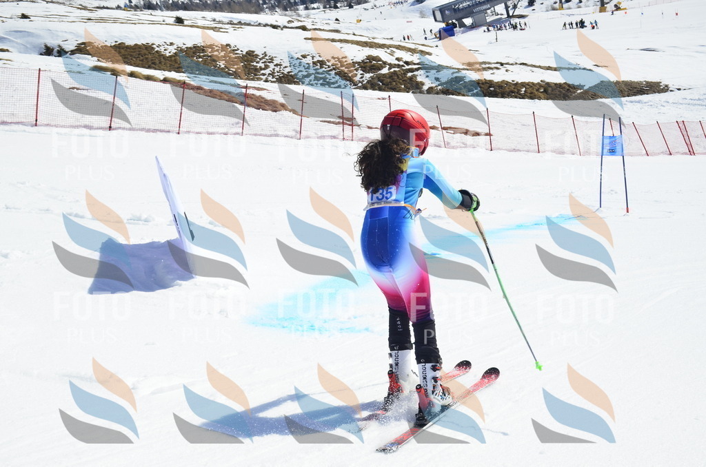 _ELE0867 | holidayphoto