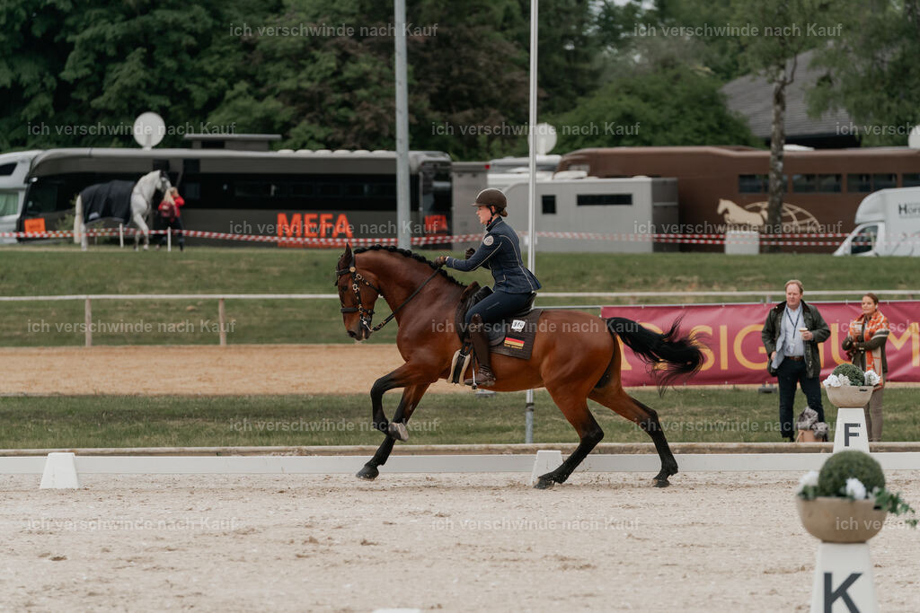 WE_DR_Stoib_340_ _PI2025_128 | Pferd International München 2025