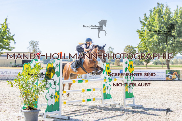 26-7-25 Pony L-8 | mandyhollmannphotographie