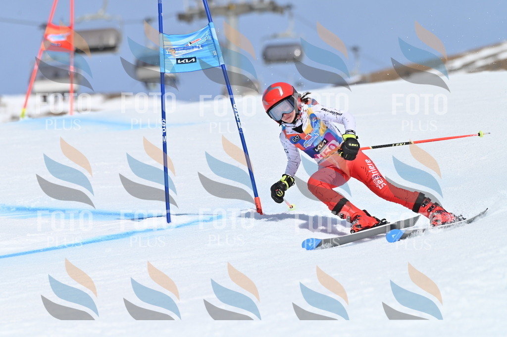 BGV_0049 | holidayphoto