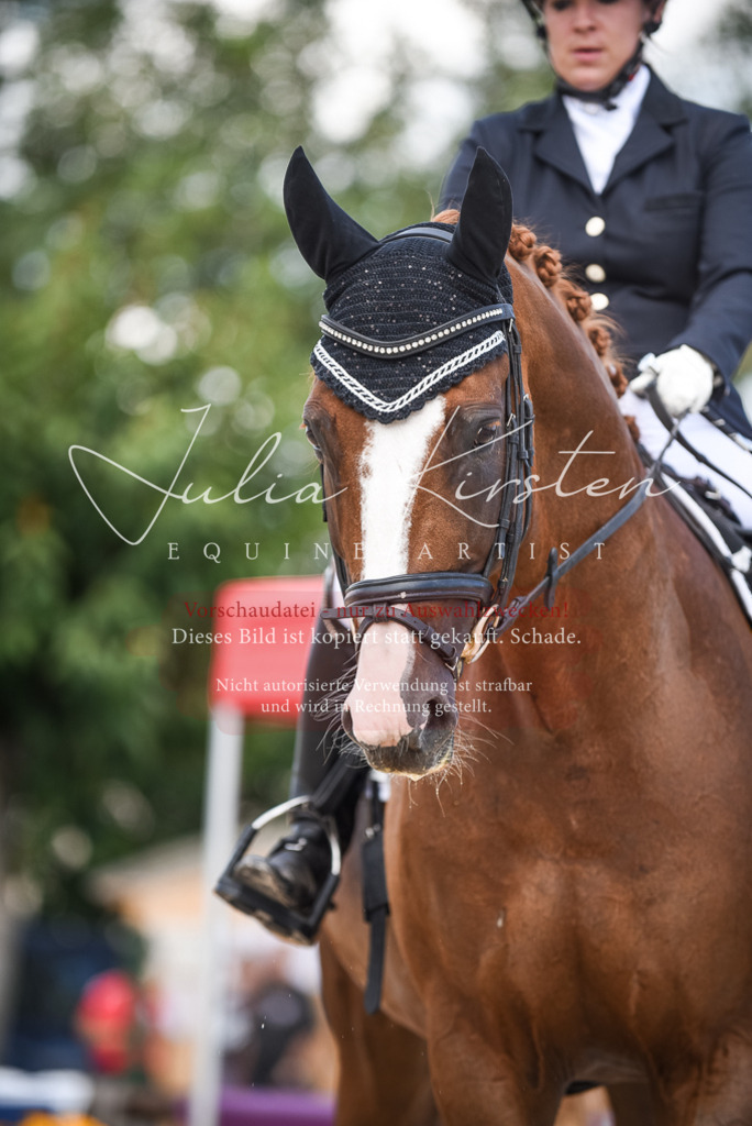 DSC_9330 | Pferde- und Turnierfotografie in Westsachsen. Pferdeportraits, Auftragszeichnungen und intuitive Kunst.