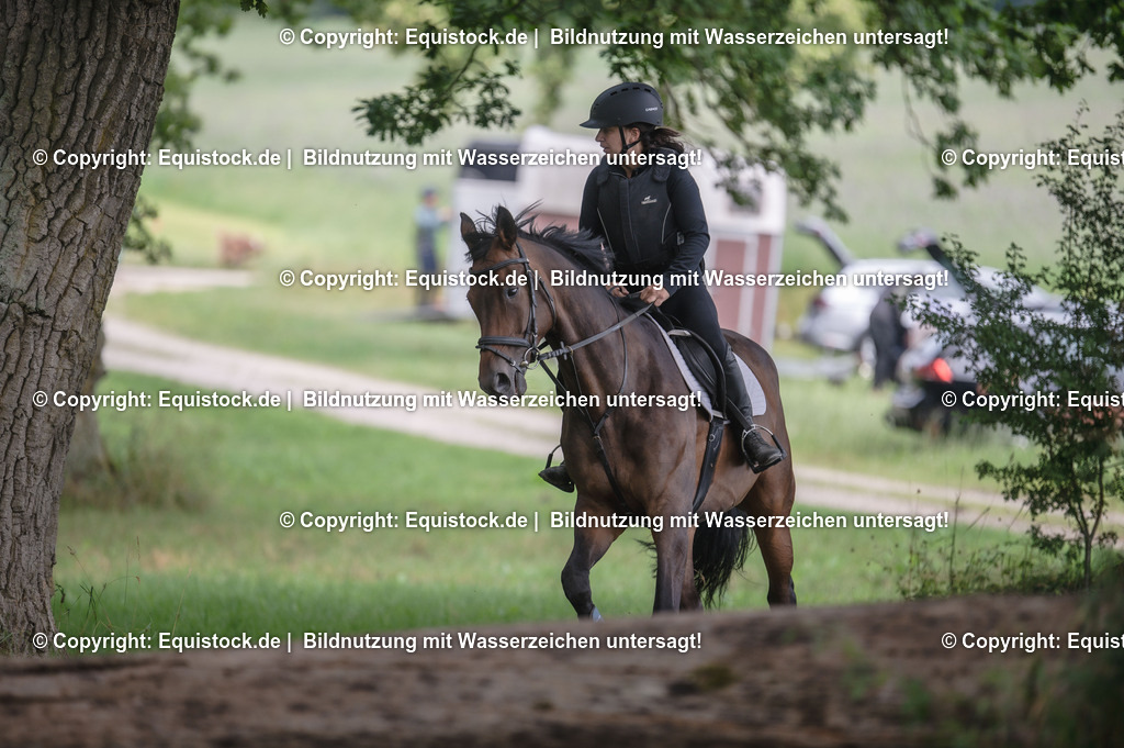 20250726_Vielseitigkeitslehrgang-Marbach_0409 | Foto: Thomas Hartig