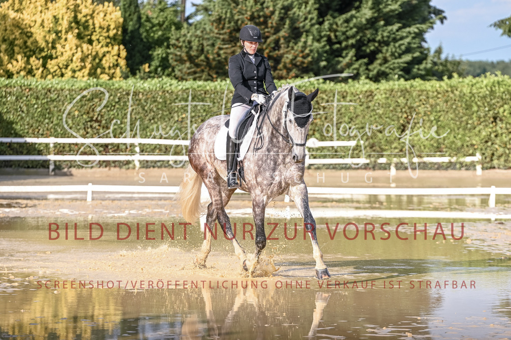 Schugtsche-Aluta25-54.Dressurprf.L1Trense-199 | Schugtsche Fotografie - Realisiert mit Pictrs.com