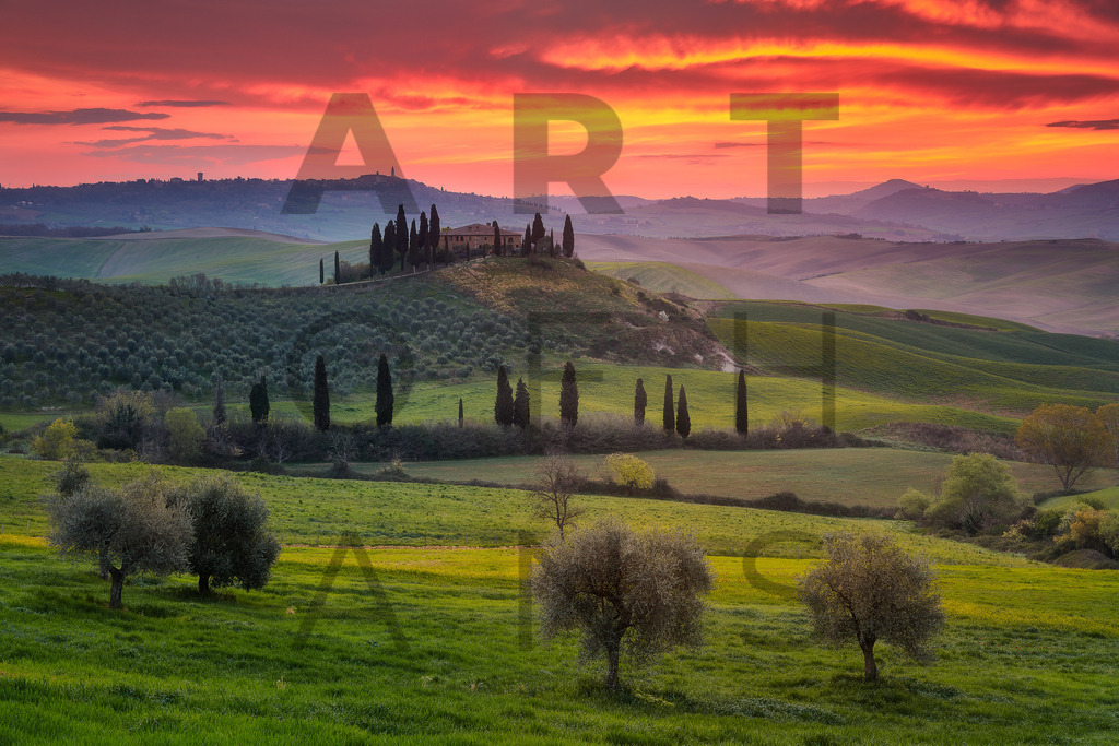 Ein Hans Fineart Original | Entdecke die Kunst von Hans Fineart - Fotografien für dein Zuhause. Verwandle deine Wände mit einzigartigen Kunstwerken und bringe die Schönheit der Welt in dein Leben. Bestelle jetzt und schaffe einen Ort der Inspiration und Eleganz.