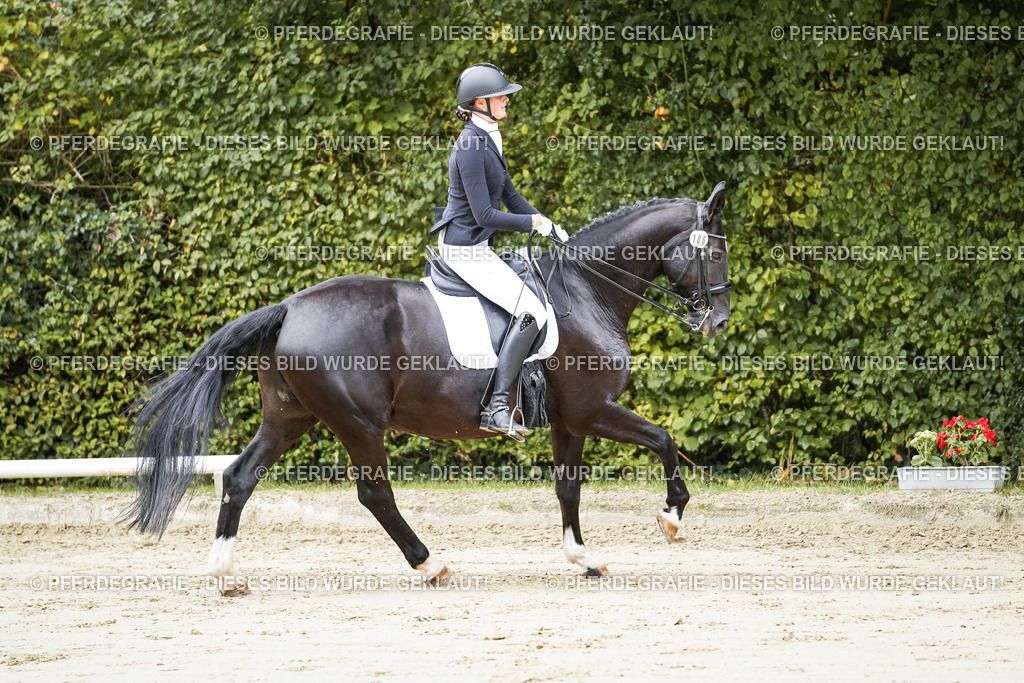 DSC08374 | Pferdegrafie