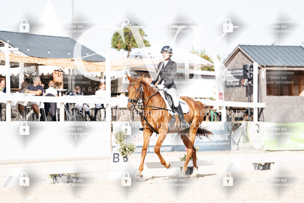 CK905509 | Turnierfotografie Pferdefotografie Trier Rheinland-Pfalz Pferdesport Reitsport Tierfotografie Sportfotografie Pferdevideo Pferdevideografie Equestrianvideography equestrianphotography  - Realisiert mit Pictrs.com