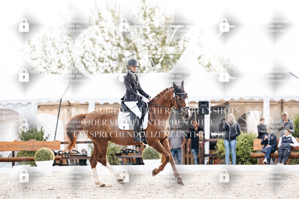 CK900506 | Turnierfotografie Pferdefotografie Trier Rheinland-Pfalz Pferdesport Reitsport Tierfotografie Sportfotografie Pferdevideo Pferdevideografie Equestrianvideography equestrianphotography  - Realisiert mit Pictrs.com