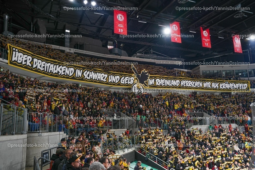 xYDRx30112501002 | 30.11.2025, xydrx, Eishockey, DEL2, Düsseldorfer EG - Krefeld Pinguine, PSD Bank Dome Düsseldorf: Choreografie der Fans der Krefeld Pinguine mit der Aufschrift: Über Dreitausend in Schwarz und Gelb im Rheinland herrschen wir aus KrähenfeldPhoto: xYannisxDreimannxPressefotoKochx