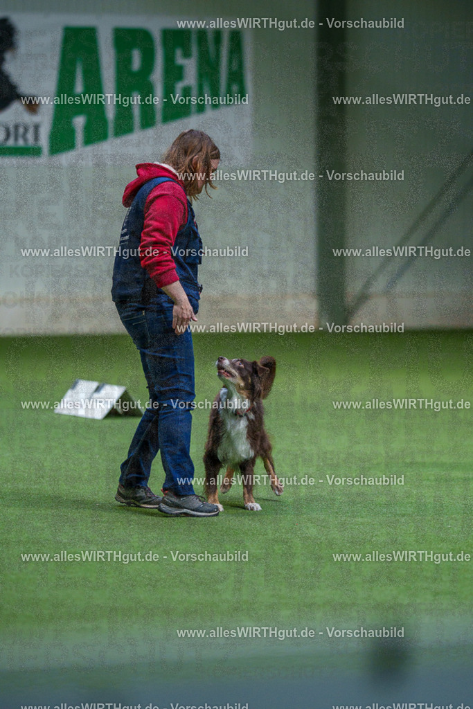 7R506167 | Professionelle Tierfotografie in Mönchengladbach von Daniel Wirth (allesWIRTHgut). Liebevolle & natürliche Bilder von Hunden & Katzen für unvergessliche Erinnerungen.