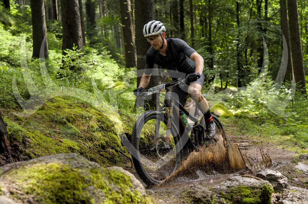 Durch den Matsch | Pfütze auf dem Bumps and Berms Trail in Rabenberg bei der Treibjagd im Dunkelwald 2025 - Realisiert mit Pictrs.com