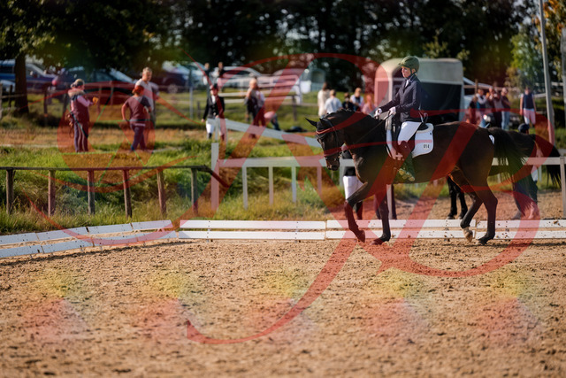 2026_10_03_Siefer-Hof_133442_Z63_93193543 | Professionelle Reitsport-, Turnier- und Eventfotografie von Robert Broda. Galerien mit ausgewählten und bearbeiteten Bildern direkt online ansehen und bestellen.