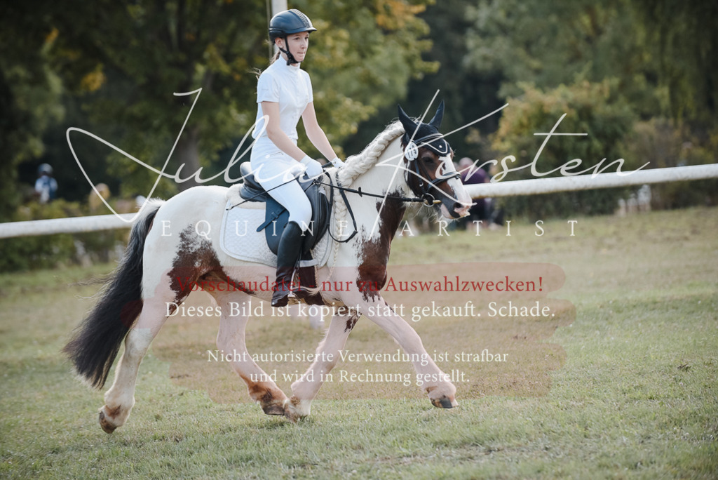 DSC_5377 | Pferde- und Turnierfotografie in Westsachsen. Pferdeportraits, Auftragszeichnungen und intuitive Kunst.