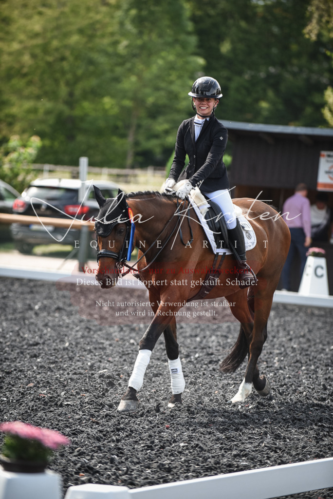 DSC_5200 | Pferde- und Turnierfotografie in Westsachsen. Pferdeportraits, Auftragszeichnungen und intuitive Kunst.