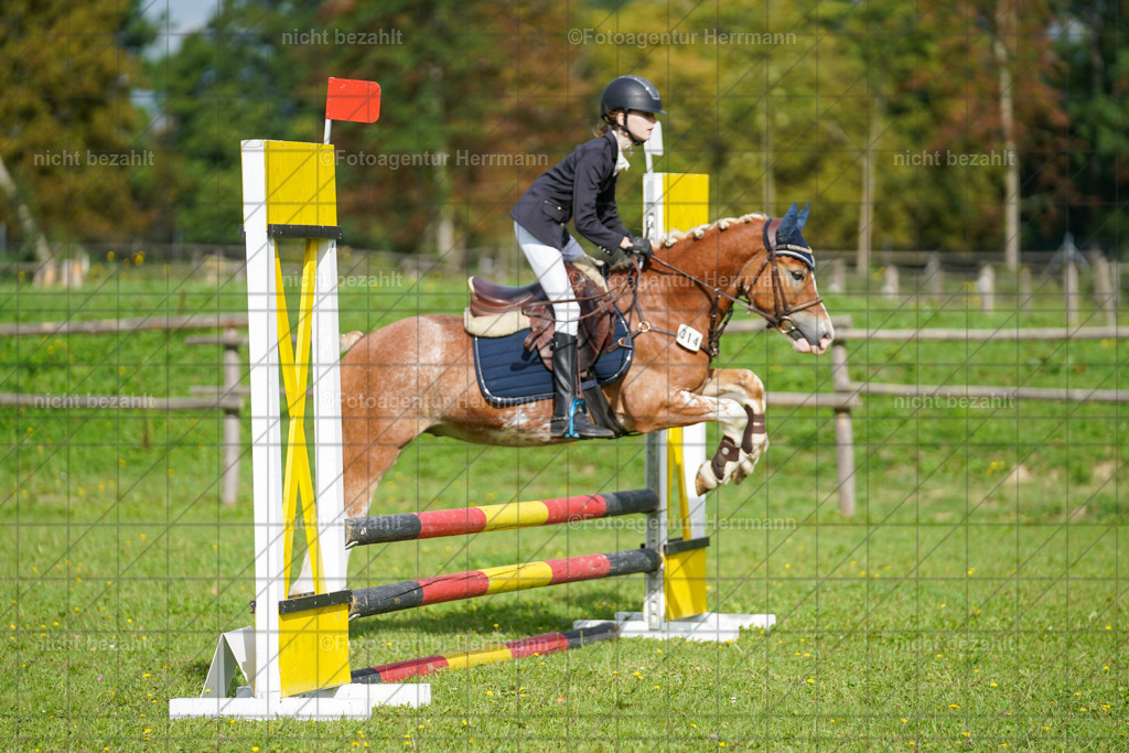 20230917-FAH09226 | Landsberg am Lech, 2023, Kaufbeuren, Kempten, Allgäu, Turnierfotografen Bayern, Fotoagentur Herrmann, Turnierbilder, Reitsport Fotos, Pferdefotograf, Augsburg, Bad Tölz, Dachau, Karlsfeld, Memmingen, Buchloe, Schwabmünchen