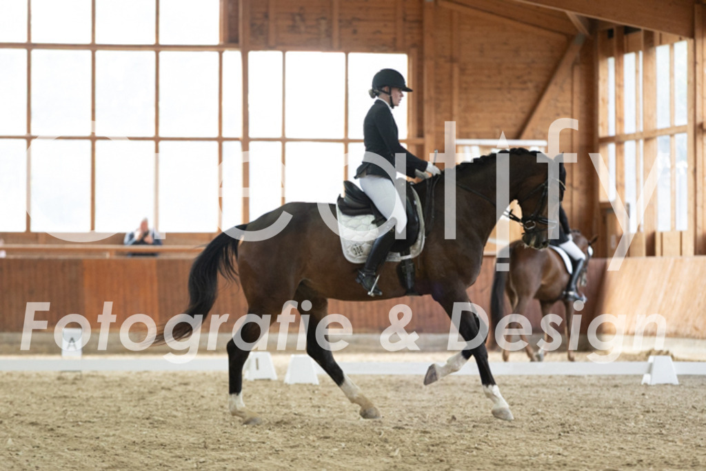 IMG_2508 | Creatify Fotografie