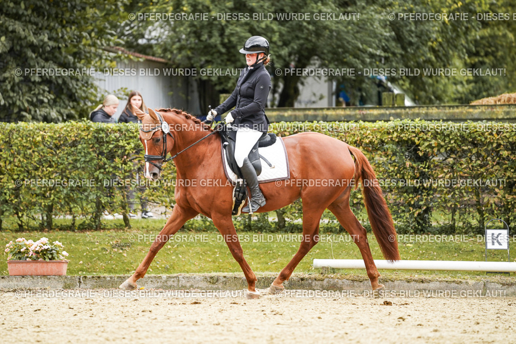 DSC08185 | Pferdegrafie