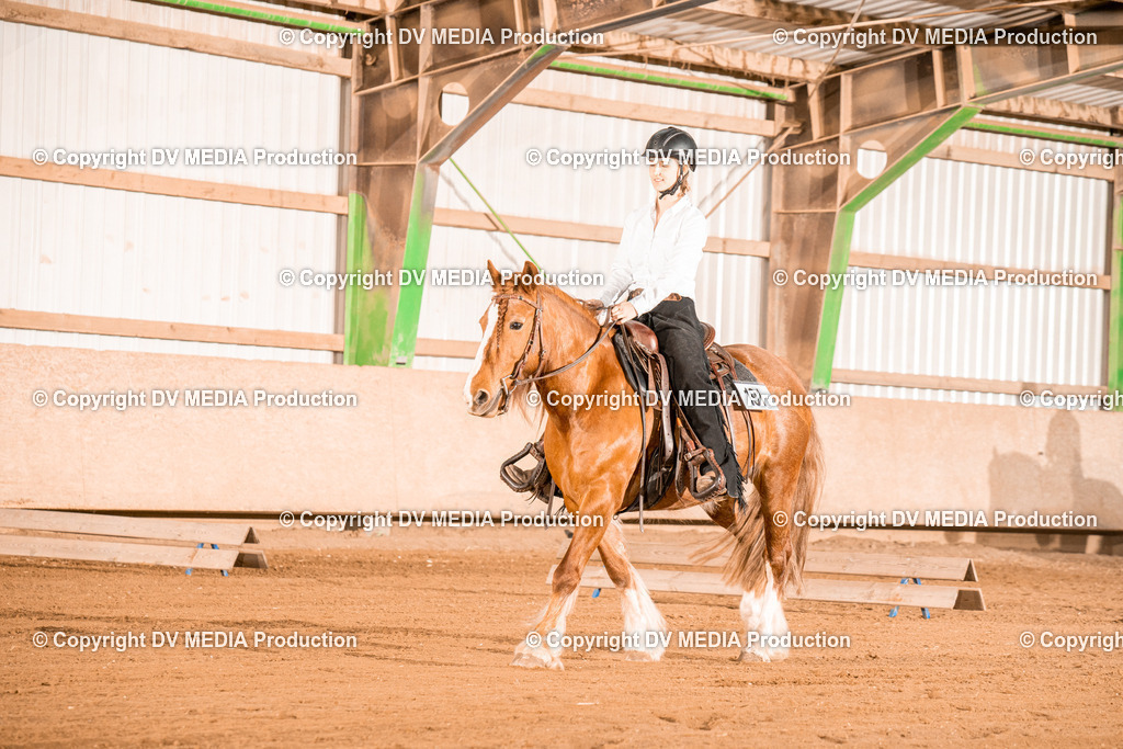 BAL02955 | dv-media-shop - Realisiert mit Pictrs.com