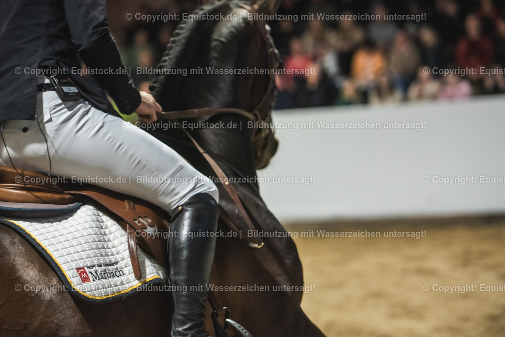 20240302_Hengstvorstellung_Marbach_TOMsPiC_0207 | equistock