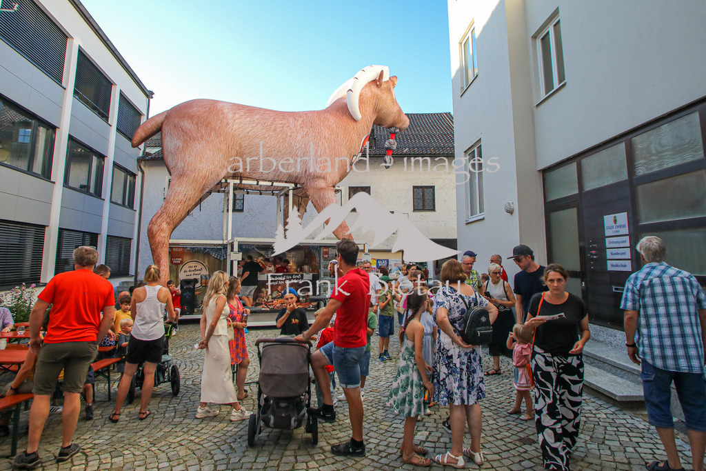 OE7A3157 | Rathaus Innenhof