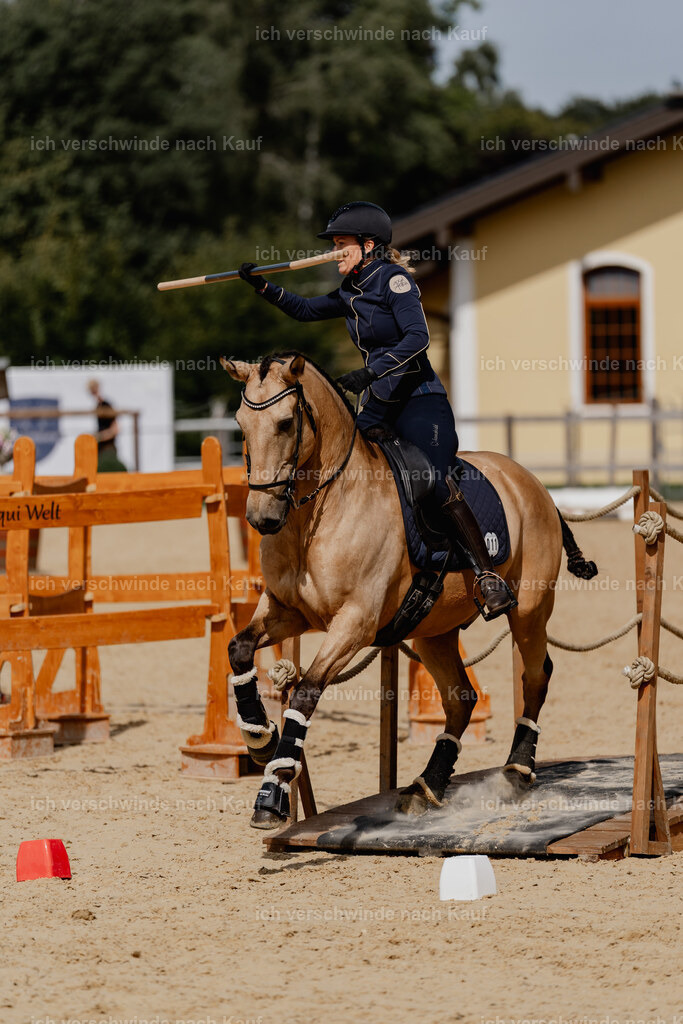 Diana11_FHC2025-2971 | working equitationturnier fotograf videograf stoibphotography marixx film working equitation deutschland reitsport turnierfotografie eventfotografie equestrian events