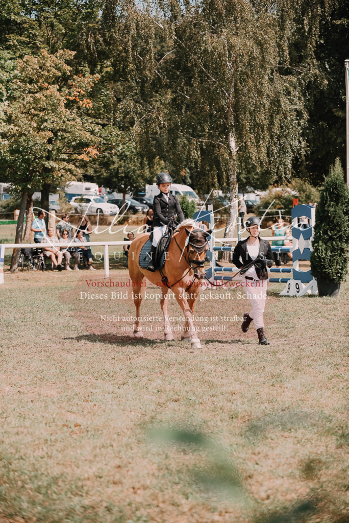 DSC_6135 | Pferde- und Turnierfotografie in Westsachsen. Pferdeportraits, Auftragszeichnungen und intuitive Kunst.