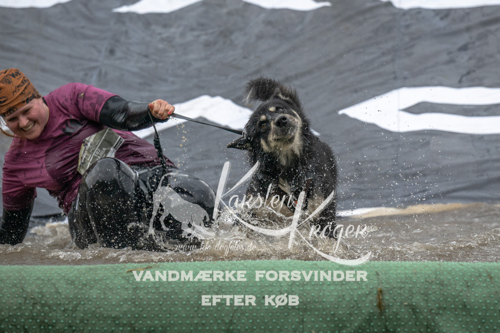 1436_ZZ91038 | kk-dogfotos