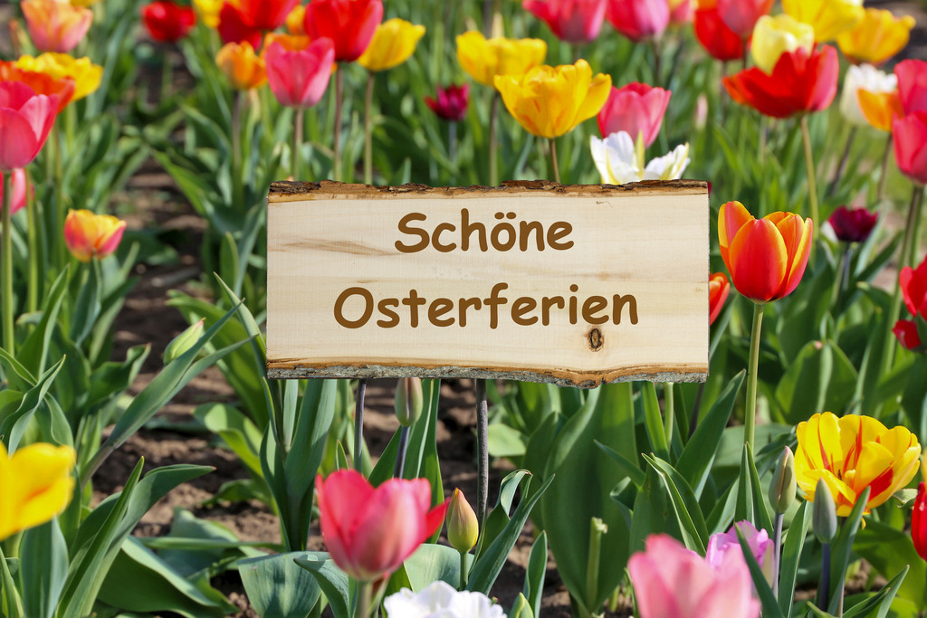 Schöne Osterferien | (Fotomontage) Schild mit der Aufschrift SCHÖNE OSTERFERIEN in einem Tulpenfeld - Realisiert mit Pictrs.com