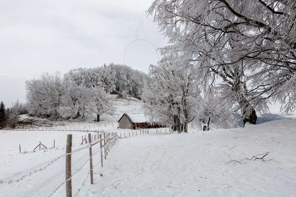Franzenreith Frost  | Ihre Fotografin im Lungau, ihre Fotografin im Mostviertel, Wandbilder Onlineshop, Imagefotos für Ihr Unternehmen,  - Realisiert mit Pictrs.com